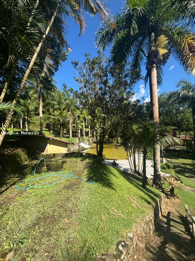 Prédio Inteiro - Foto 6