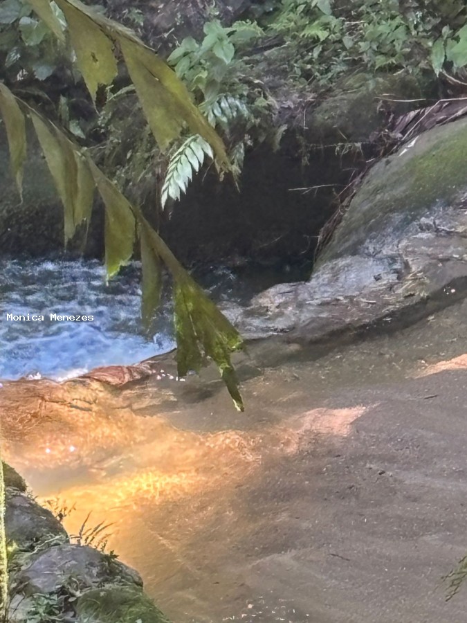 Prédio Inteiro - Foto 30